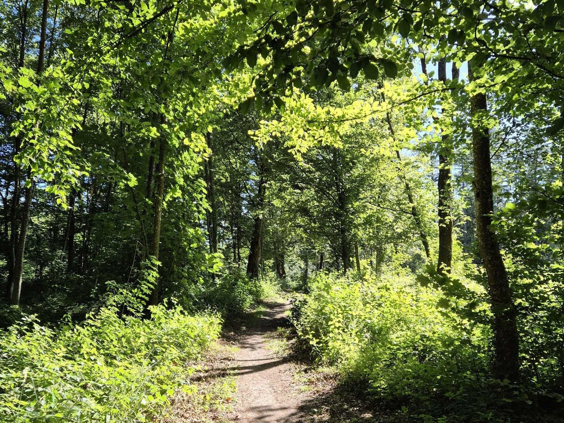 Der Weg ist das Ziel